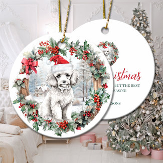 Cute Christmas white poodle dog puppy Santa hat