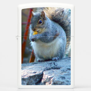 Cute chubby Squirrel Lighter