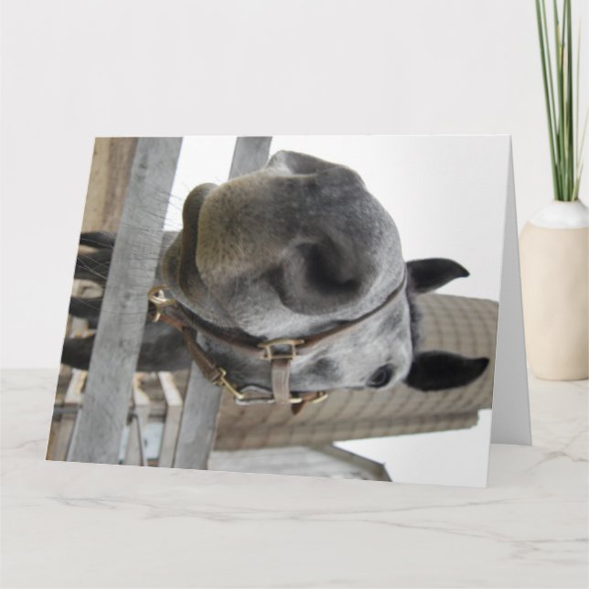 Cute Close up of a Horse Thank You Card (Front)