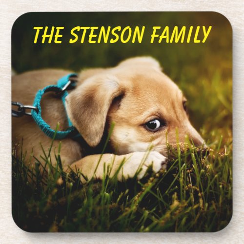 Cute Close_up Puppy Dog Beverage Coaster