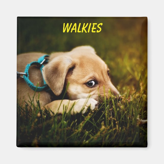 Cute Close-up Puppy Dog Magnet (Front)