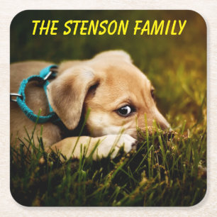 Cute Close-up Puppy Dog Square Paper Coaster