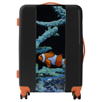Cute Clown Fish In Coral Luggage by beachcafe at Zazzle
