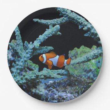 Cute Clown Fish In Coral Paper Plates by beachcafe at Zazzle