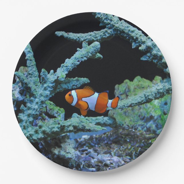 Cute Clown Fish in Coral Paper Plates (Front)