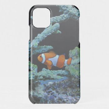 Cute Clown Fish In Coral  Iphone 11 Case by beachcafe at Zazzle