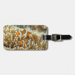 Cute Clown Fish Luggage Tag