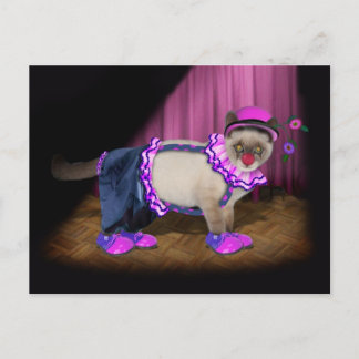 Cute Clown Kitty Postcard