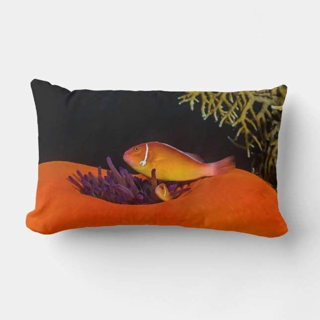 Cute Clownfish on the Great Barrier Reef Lumbar Pillow (Front)