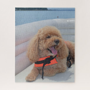 Cute Cockapoo Dog With Life Vest Jigsaw Puzzle