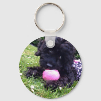 Cute Cockapoo Puppy Round Button Key Ring