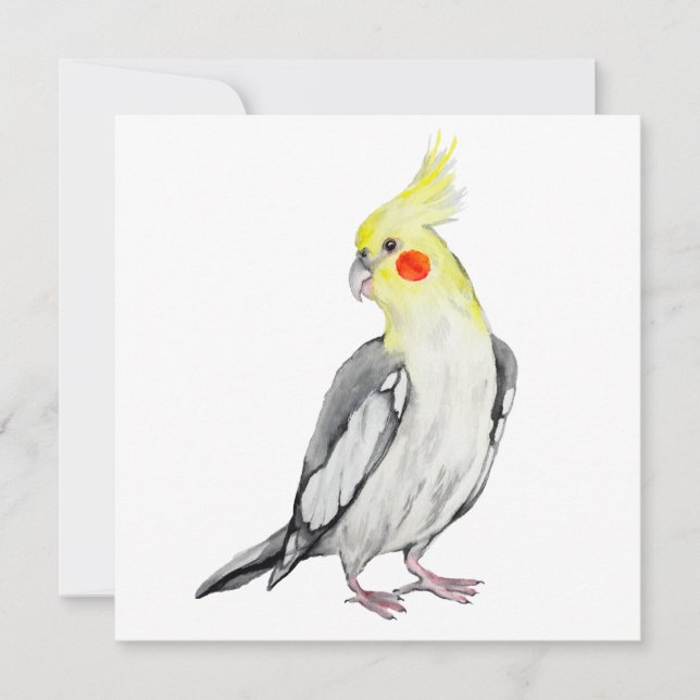 Cute Cockatiel Watercolor Parrot.  (Front)