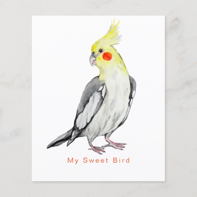 Cute Cockatiel Watercolor Parrot.  Flyer (Front)