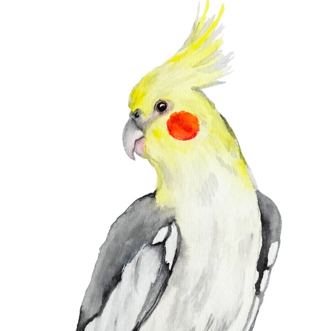 Cute Cockatiel Watercolor Parrot.  Throw Pillow (Creator Uploaded)