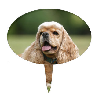 Cute Cocker Spaniel Cake Topper