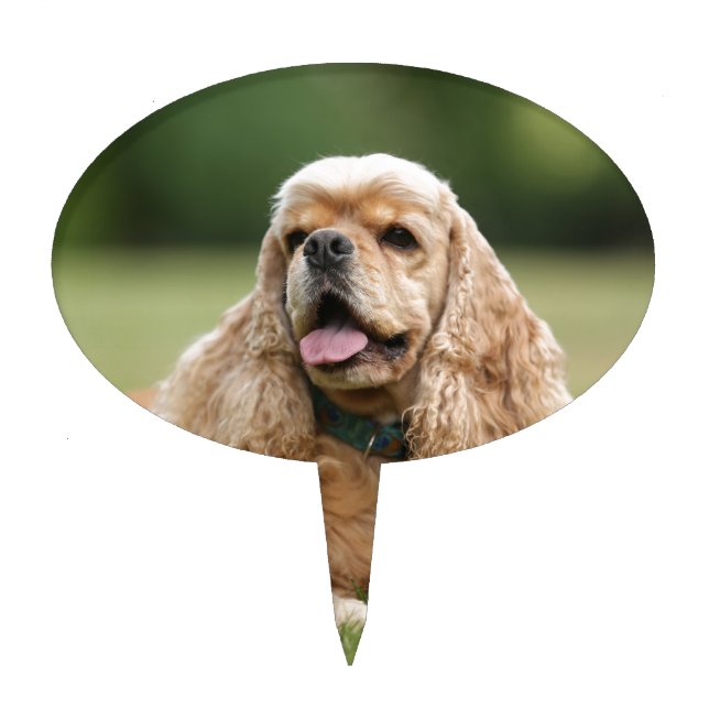 Cute Cocker Spaniel Cake Topper (Front)