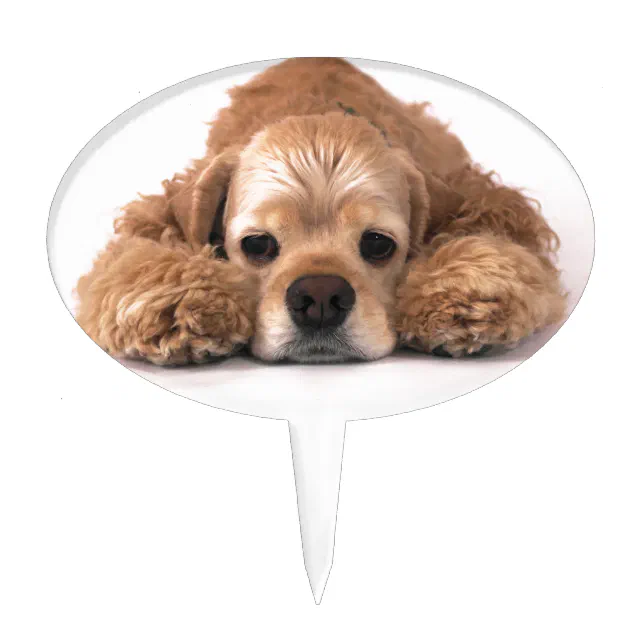 Cocker spaniel outlet cake topper