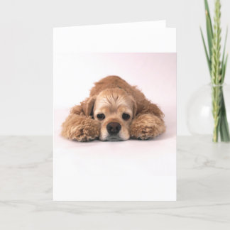 Cute Cocker Spaniel Card