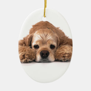 cocker spaniel themed gifts