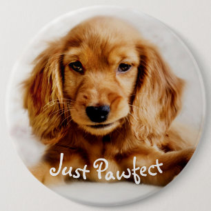Cute Cocker Spaniel Dog Badge/Pin Pinback Button