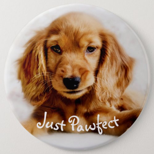 Cute Cocker Spaniel Dog BadgePin Pinback Button
