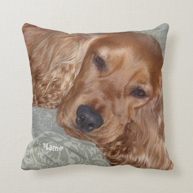 cocker spaniel presents