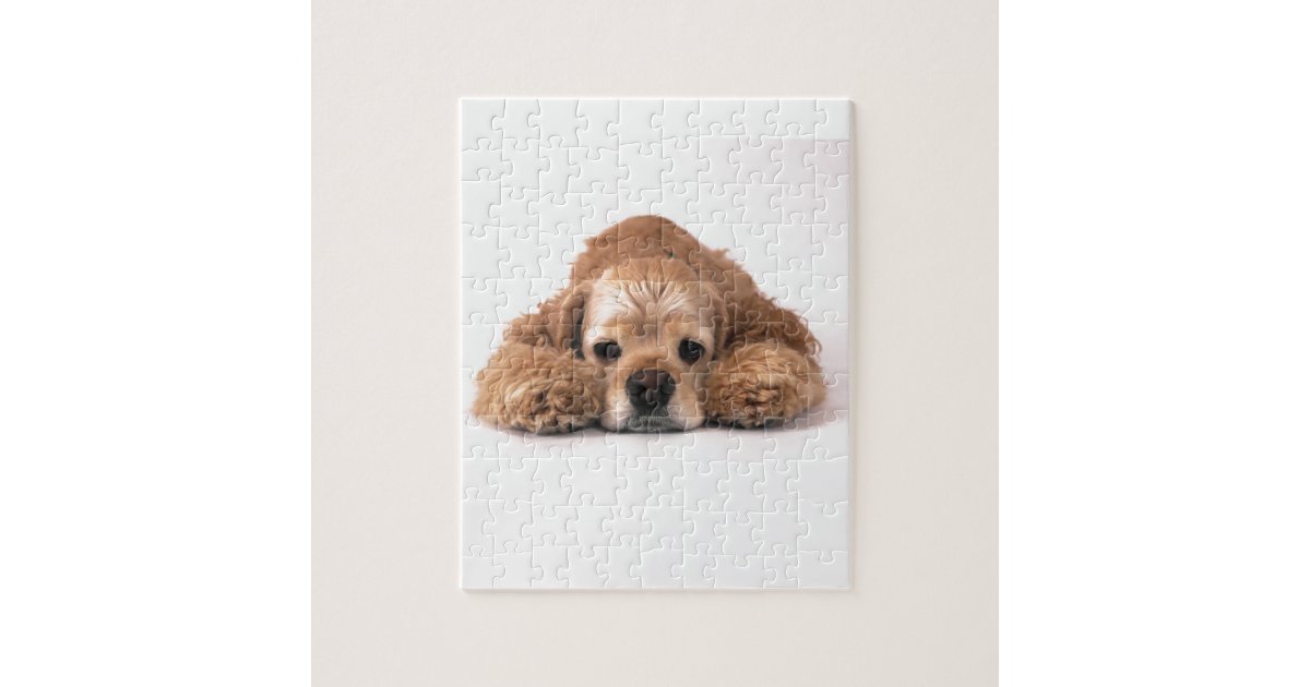 Cute Cocker Spaniel Jigsaw Puzzle | Zazzle