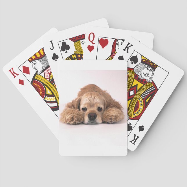 Cute Cocker Spaniel Poker Cards (Back)