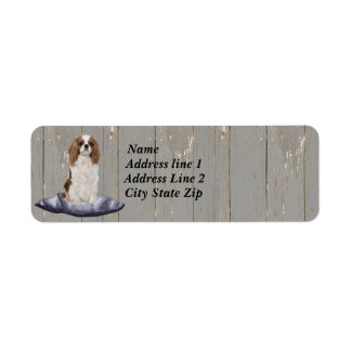 Cute Cocker Spaniel Sitting On Blue Cushion Label