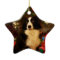 Cute Collie and Christmas Tree