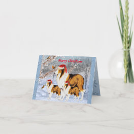 Cute Collie Family in Santa Hats Christmas Card