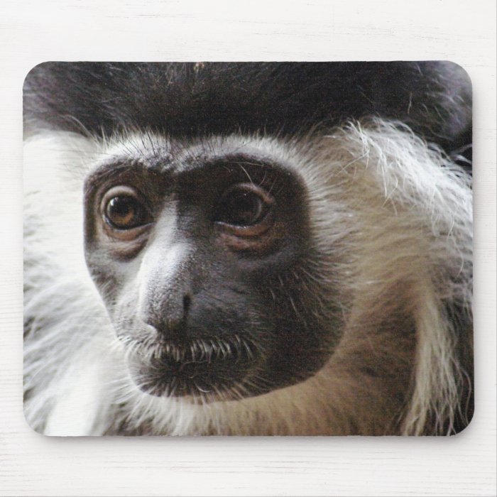 Cute Colobus Monkey Mouse Pad