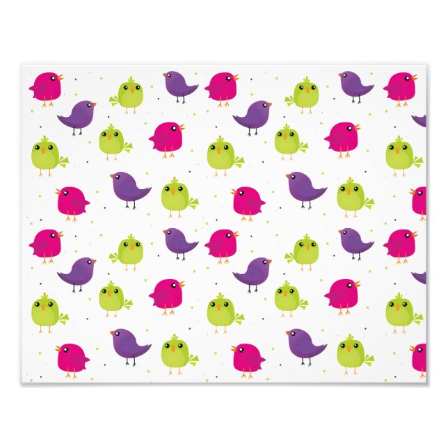 Cute colorful birds  photo print (Front)