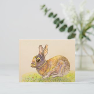 Cute colorful Bunny drawing art