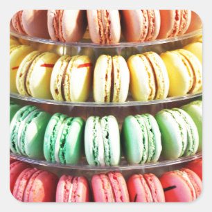 Cute Colorful Dessert French Macaron Square Sticker