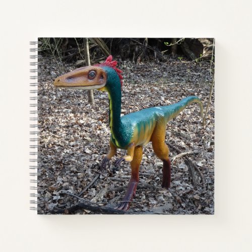 Cute Colorful Dinosaur Square Notebook