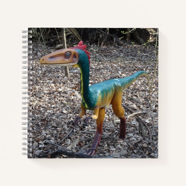 Cute Colorful Dinosaur Square Notebook (Front)
