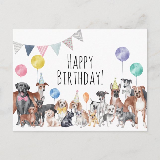 Cute Colorful Dog Happy Birthday  Postcard (Front)