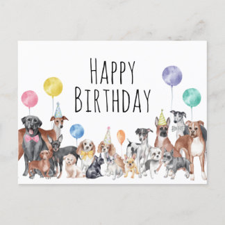 Cute Colorful Dog Happy Birthday Postcard