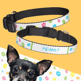 Cute colorful dog paw prints pattern custom name pet collar