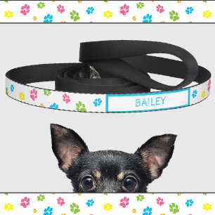 Cute colorful dog paw prints pattern custom name pet leash