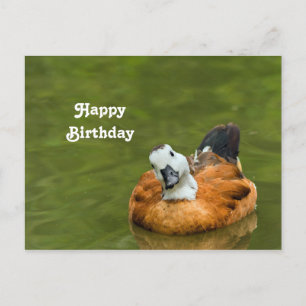 Cute Colorful Duck Photo Birthday Postcard