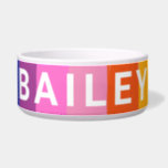Cute Colorful Fun Rainbow Stripes Personalized Bowl<br><div class="desc">This bright and colorful abstract art features bold painted stripes in a rainbow burst of color.</div>