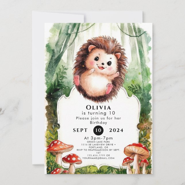 Cute Colorful Hedgehog Birthday Invitation (Front)