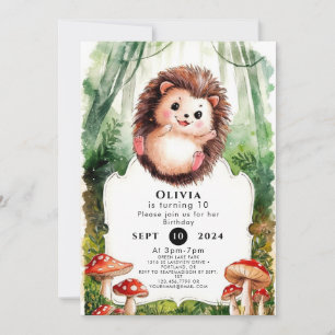 Cute Colorful Hedgehog Birthday Invitation