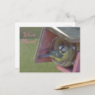 Cute Colorful Little Bird We've Moved Postcard