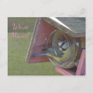 Cute Colorful Little Bird We've Moved Postcard