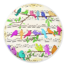 Cute Colorful Musical Birds Symphony - Happy Song  Ceramic Knob