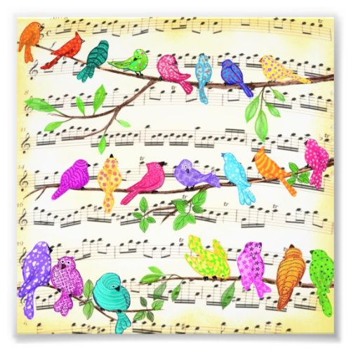 Cute Colorful Musical Birds Symphony _ Happy Song  Photo Print