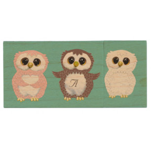 Cute Colorful Owls & Monogram on Teal Blue Wood Flash Drive